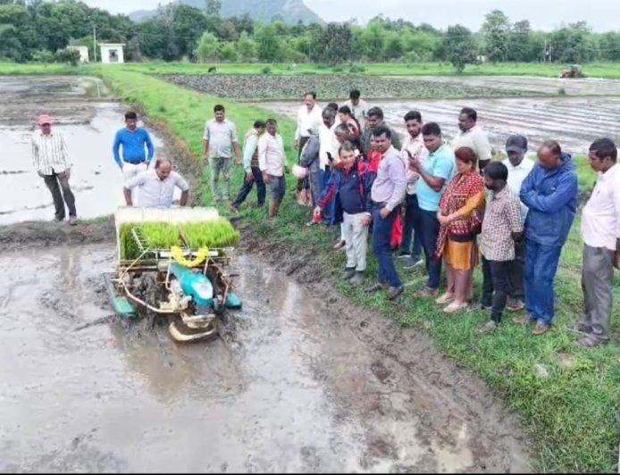 ಮಳೆ ಕೊರತೆ ನಡುವೆಯೂ ಭತ್ತದ ಇಳುವರಿ ಕಾಪಾಡಲು ಸುಧಾರಿತ ಬೇಸಾಯ ಕ್ರಮ ಅಳವಡಿಸಿಕೊಳ್ಳಿ: ರೈತರಿಗೆ ಜಂಟಿ ಕೃಷಿ ನಿರ್ದೇಶಕರ ಸಲಹೆ