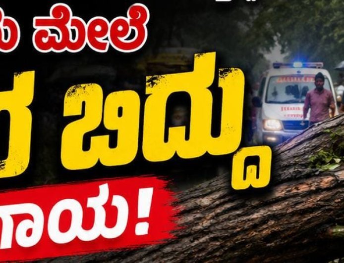 ರಸ್ತೆಯಲ್ಲಿ ನಡೆದು ಹೋಗುತ್ತಿದ್ದ ವ್ಯಕ್ತಿಯ ಮೇಲೆ ಮರ ಬಿದ್ದು ಗಾಯ