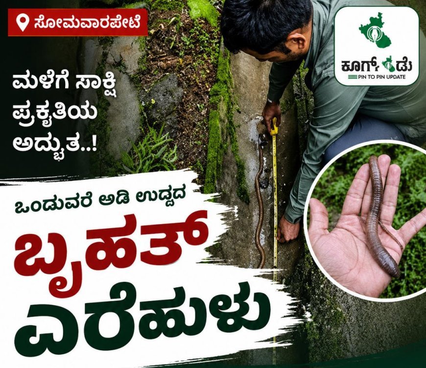 ಸೋಮವಾರಪೇಟೆ: ಒಂದುವರೆ ಅಡಿ ಉದ್ದದ ಬೃಹತ್ ಎರೆಹುಳು