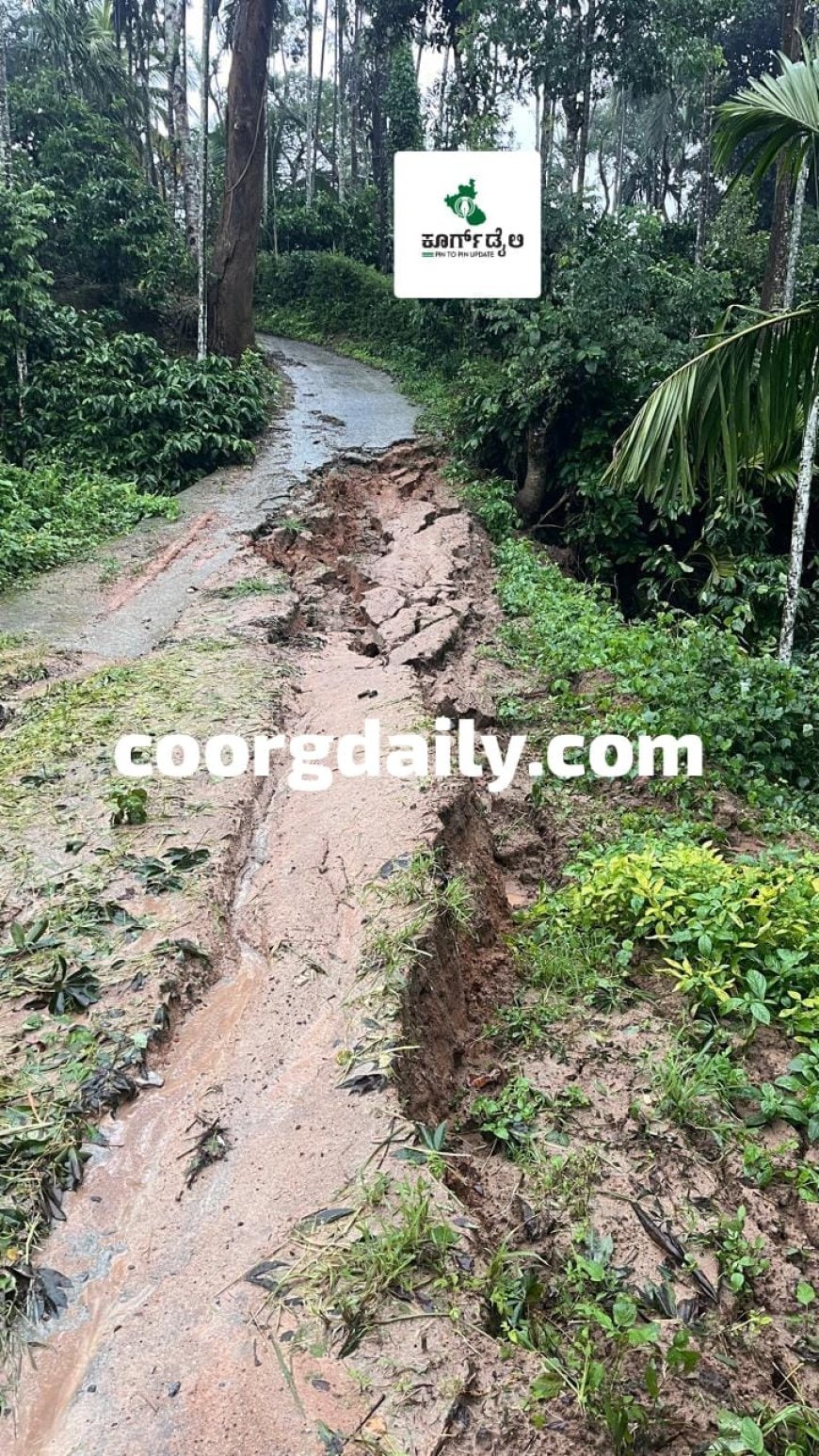 ಹಾತೂರು: ಮಳೆಗೆ ರಸ್ತೆ ಸಂಪೂರ್ಣ  ಕುಸಿತ