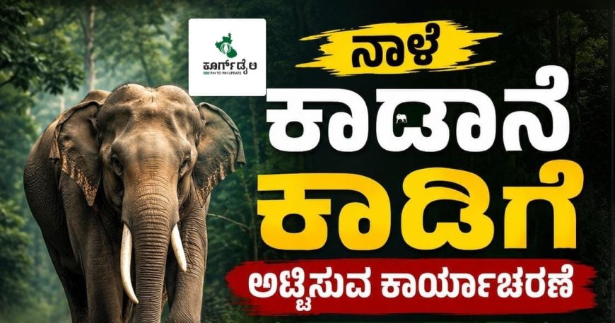 ನಾಳೆ ಕಾಡಾನೆ ಕಾಡಿಗೆ ಅಟ್ಟಿಸುವ ಕಾರ್ಯಾಚರಣೆ