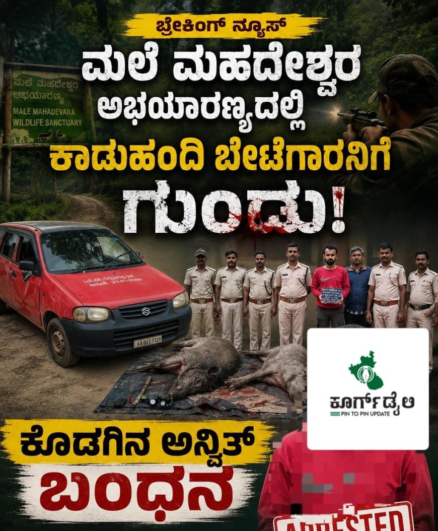 ಮಲೆ ಮಹದೇಶ್ವರ ಅಭಯಾರಣ್ಯದಲ್ಲಿ ಕಾಡುಹಂದಿ ಬೇಟೆಗಾರನಿಗೆ ಗುಂಡು: ಕೊಡಗಿನ ಅನ್ವಿತ್ ಬಂಧನ