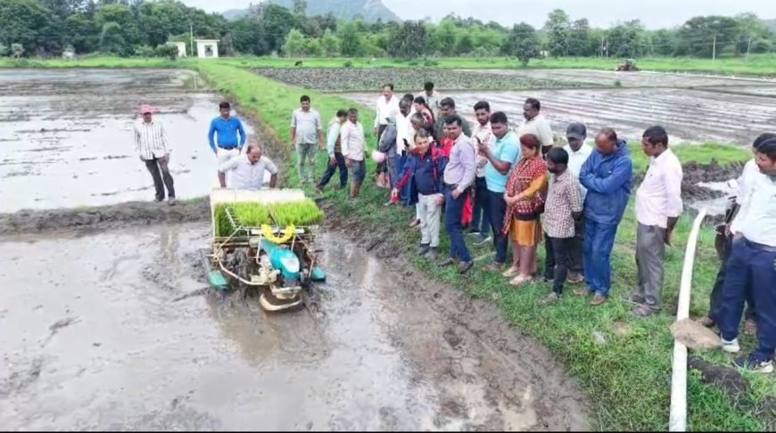 ಮಳೆ ಕೊರತೆ ನಡುವೆಯೂ ಭತ್ತದ ಇಳುವರಿ ಕಾಪಾಡಲು ಸುಧಾರಿತ ಬೇಸಾಯ ಕ್ರಮ ಅಳವಡಿಸಿಕೊಳ್ಳಿ: ರೈತರಿಗೆ ಜಂಟಿ ಕೃಷಿ ನಿರ್ದೇಶಕರ ಸಲಹೆ