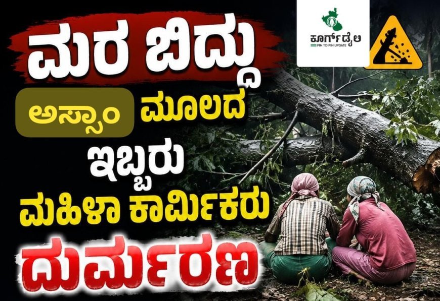 ಮರ ಬಿದ್ದು ಅಸ್ಸಾಂ ಮೂಲದ ಇಬ್ಬರು ಮಹಿಳಾ ಕಾರ್ಮಿಕರು ದುರ್ಮರಣ