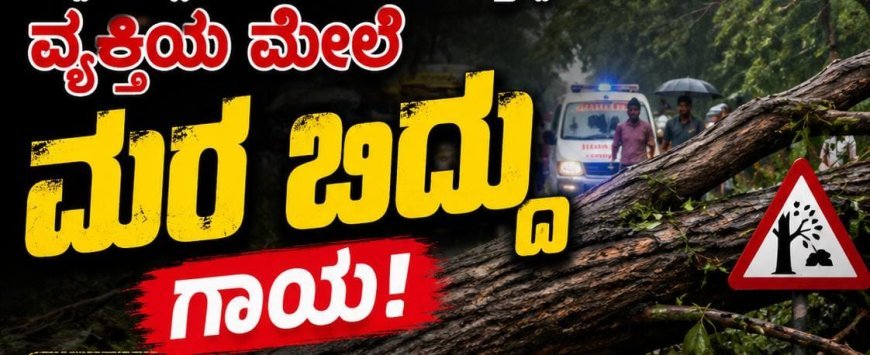ರಸ್ತೆಯಲ್ಲಿ ನಡೆದು ಹೋಗುತ್ತಿದ್ದ ವ್ಯಕ್ತಿಯ ಮೇಲೆ ಮರ ಬಿದ್ದು ಗಾಯ