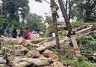 ಶನಿವಾರಸಂತೆ:ಭಾರೀ ಮಳೆ-ಗಾಳಿಗೆ ಮರಬಿದ್ದು ಸಂಚಾರಕ್ಕೆ ಅಡಚಣೆ