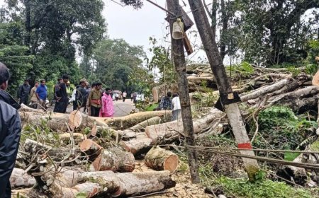 ಶನಿವಾರಸಂತೆ:ಭಾರೀ ಮಳೆ-ಗಾಳಿಗೆ ಮರಬಿದ್ದು ಸಂಚಾರಕ್ಕೆ ಅಡಚಣೆ
