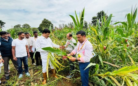 ಕೊಡಗು ಜಿಲ್ಲೆಯಲ್ಲಿ ಮಳೆ ಪ್ರಮಾಣ, ಬೆಳೆ ಪರಿಸ್ಥಿತಿ ಮತ್ತಿತರ ಬಗ್ಗೆ ಸರ್ಕಾರಕ್ಕೆ ವರದಿ ಪಿ.ಎಂ.ನರೇಂದ್ರಸ್ವಾಮಿ
