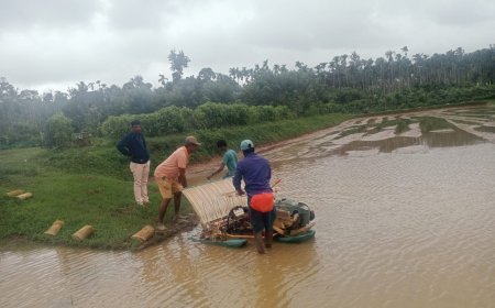 ಧರ್ಮಸ್ಥಳ ಗ್ರಾಮಾಭಿವೃದ್ಧಿ ಯೋಜನೆಯಡಿ ಯಾಂತ್ರಿಕೃತ ಯಂತ್ರ ಶ್ರೀ' ಭತ್ತ ನಾಟಿ ಜಿಲ್ಲಾ ನಿರ್ದೇಶಕರಿಂದ ಮಾರ್ಗದರ್ಶನ