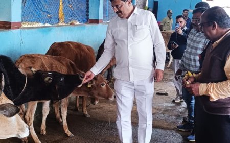 ಗೋಶಾಲೆಗೆ ಸಚಿವ ಪಿ.ಎಂ ನರೇಂದ್ರ ಸ್ವಾಮಿ ಭೇಟಿ