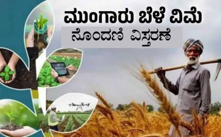 ಬೆಳೆ ವಿಮೆ ಪ್ರೀಮಿಯಂ ಪಾವತಿ ದಿನಾಂಕ ವಿಸ್ತರಣೆ