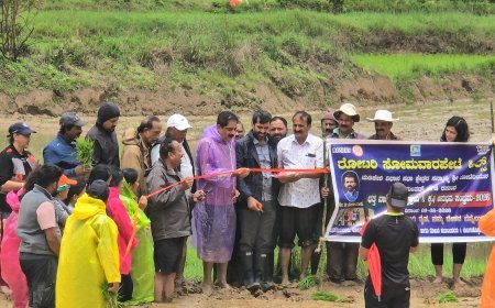 ಸೋಮವಾರಪೇಟೆ; ಜೇನಿಗರಕೊಪ್ಪ ಗ್ರಾಮದಲ್ಲಿ ರೋಟರಿ ಕ್ಲಬ್ ವತಿಯಿಂದ  ಗದ್ದೆನಾಟಿ-ಕೃಷಿ ಸಂಭ್ರಮ