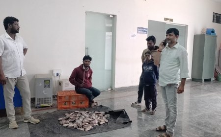 ಕುಶಾಲನಗರ ಪುರಸಭೆ ಕಛೇರಿಯೊಳಗಡೆ ಮೀನು ವ್ಯಾಪಾರ!