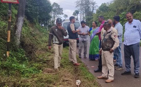 ಪದಕಲ್ಲು ಬಳಿ ಚಿರತೆ ಪ್ರತ್ಯಕ್ಷ: ಸ್ಥಳದಲ್ಲಿ ಸಿಸಿ ಕ್ಯಾಮೆರಾ ಅಳವಡಿಕೆ`