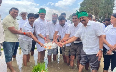ಹೆಬ್ಬಾಲೆ : ಯಂಗ್ ಇಂಡಿಯನ್ ಫಾರ್ಮರ್ಸ್ ಅಸೋಸಿಯೇಷನ್ ವತಿಯಿಂದ  ಜಿಲ್ಲಾಮಟ್ಟದ ಗದ್ದೆ ನಾಟಿ ಹಬ್ಬ, ಗ್ರಾಮೀಣ ಕೆಸರು ಗದ್ದೆ ಕ್ರೀಡಾಕೂಟ:  ರೈತರು ಕೃಷಿಗೆ ಮಾರಕವಾಗುವ ಬೆಳೆಗಳನ್ನು ಬೆಳೆಯಬಾರದು : ಅಶ್ವತ್ಥನಾರಾಯಣ್