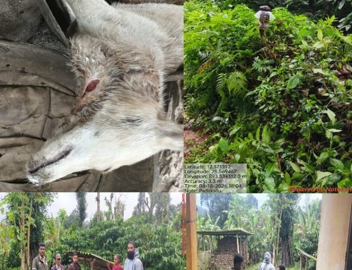 ಚೆಟ್ಟಿಮಾನಿ: ಪದಕಲ್ಲು ಗ್ರಾಮದಲ್ಲಿ ಚಿರತೆ ದಾಳಿ; ನಾಯಿ ಬಲಿ
