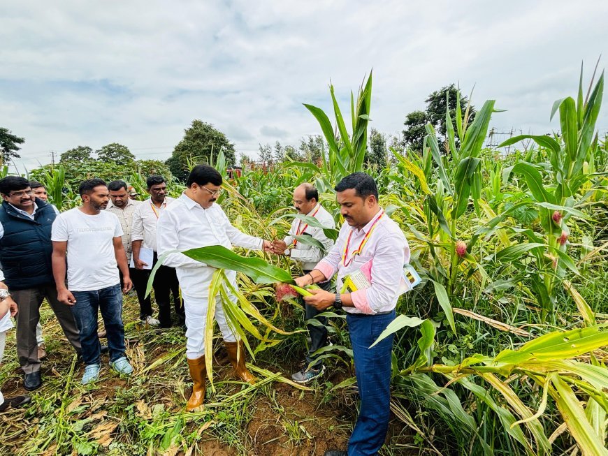 ಕೊಡಗು ಜಿಲ್ಲೆಯಲ್ಲಿ ಮಳೆ ಪ್ರಮಾಣ, ಬೆಳೆ ಪರಿಸ್ಥಿತಿ ಮತ್ತಿತರ ಬಗ್ಗೆ ಸರ್ಕಾರಕ್ಕೆ ವರದಿ ಪಿ.ಎಂ.ನರೇಂದ್ರಸ್ವಾಮಿ