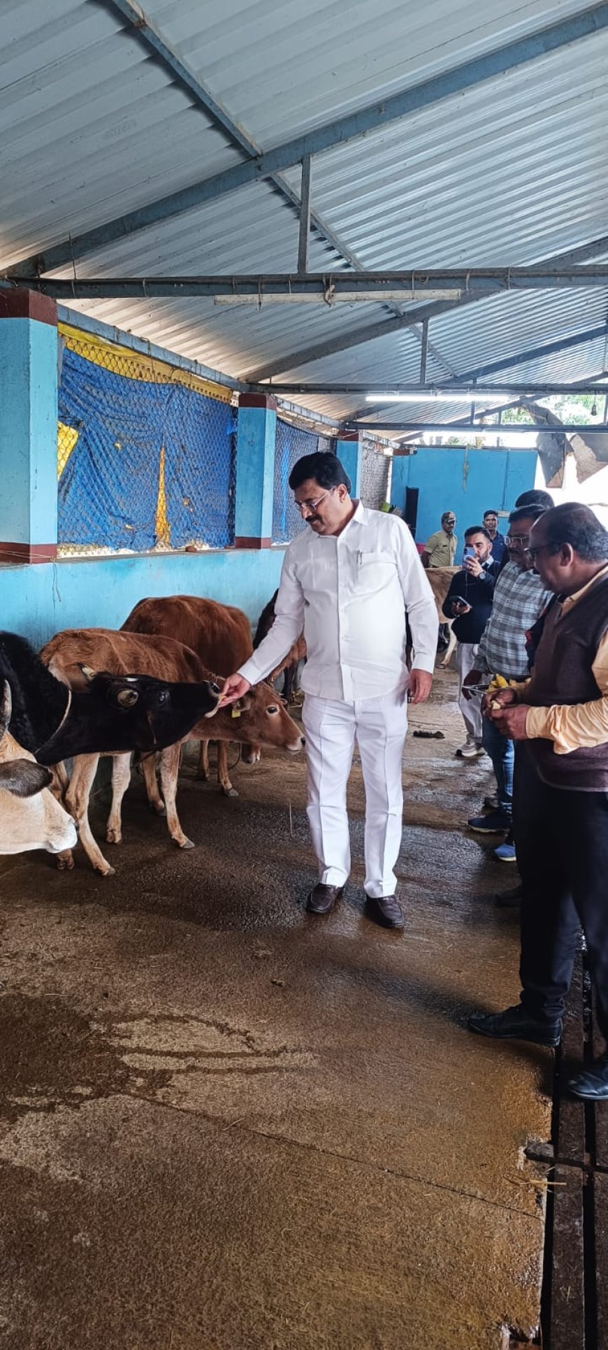 ಗೋಶಾಲೆಗೆ ಸಚಿವ ಪಿ.ಎಂ ನರೇಂದ್ರ ಸ್ವಾಮಿ ಭೇಟಿ