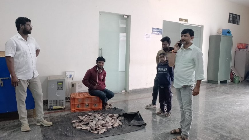 ಕುಶಾಲನಗರ ಪುರಸಭೆ ಕಛೇರಿಯೊಳಗಡೆ ಮೀನು ವ್ಯಾಪಾರ!