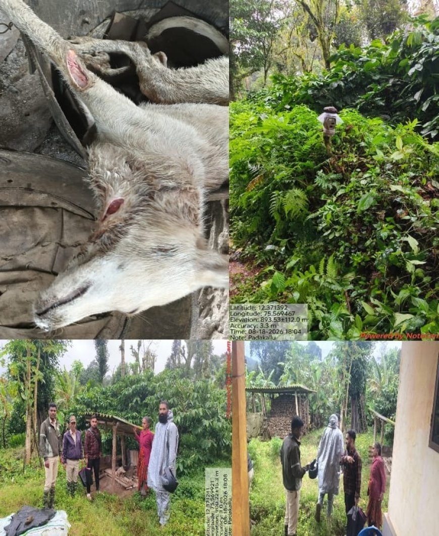 ಚೆಟ್ಟಿಮಾನಿ: ಪದಕಲ್ಲು ಗ್ರಾಮದಲ್ಲಿ ಚಿರತೆ ದಾಳಿ; ನಾಯಿ ಬಲಿ
