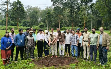 ಮಾಲ್ದಾರೆಯಲ್ಲಿ ಅರಣ್ಯೀಕರಣ ಕಾರ್ಯಕ್ರಮ;ವನ್ಯಜೀವಿಗಳಿಗೆ ಆಹಾರ ಸಿಗುವ ಸಸ್ಯಗಳನ್ನು ಬೆಳೆಸಲು ಕರೆ