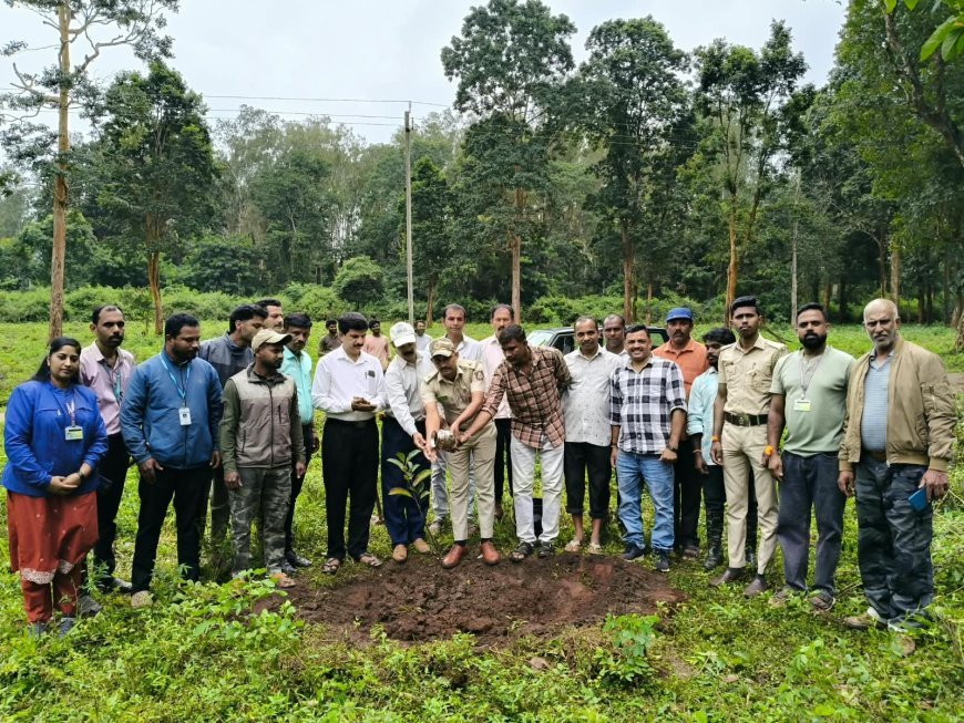 ಮಾಲ್ದಾರೆಯಲ್ಲಿ ಅರಣ್ಯೀಕರಣ ಕಾರ್ಯಕ್ರಮ;ವನ್ಯಜೀವಿಗಳಿಗೆ ಆಹಾರ ಸಿಗುವ ಸಸ್ಯಗಳನ್ನು ಬೆಳೆಸಲು ಕರೆ